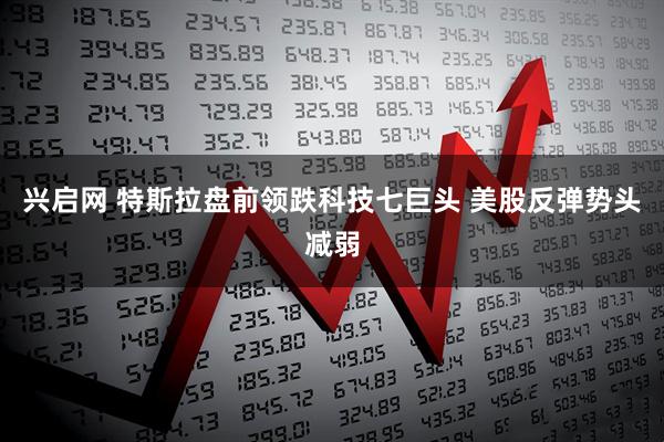 兴启网 特斯拉盘前领跌科技七巨头 美股反弹势头减弱