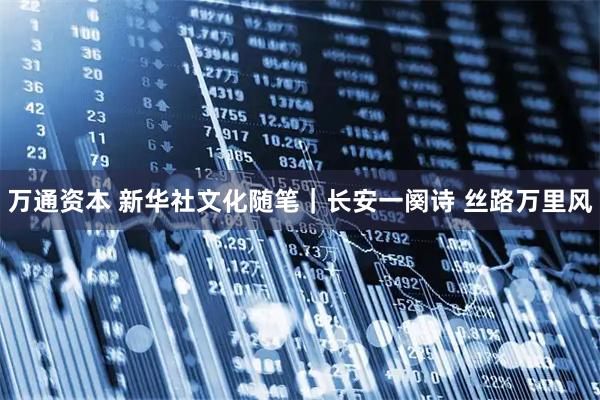 万通资本 新华社文化随笔｜长安一阕诗 丝路万里风